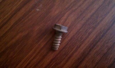 IMAG1606small.jpg IMAG1606small.jpg