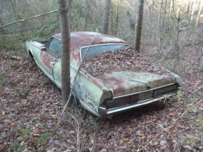 row2 (1).jpg row2 (1).jpg