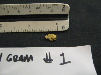 Smaller Nuggets 006.jpg