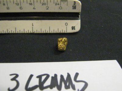 Smaller Nuggets 004.jpg