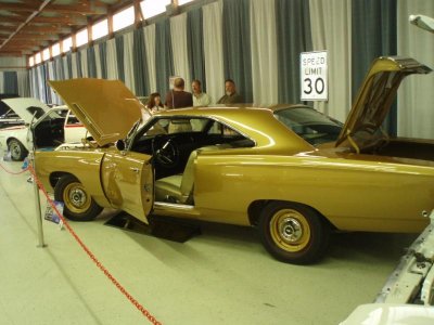 Chicken1.jpg Chicken1.jpg