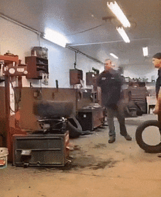 experience.gif