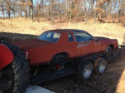 230340-ef7a624bc3f99dcbf3294d1b2de84bef.jpg 230340-ef7a624bc3f99dcbf3294d1b2de84bef.jpg