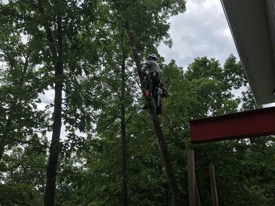 IMG_1418.JPG IMG_1418.JPG