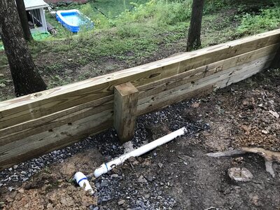 IMG_1503.JPG IMG_1503.JPG