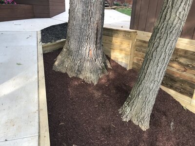 IMG_1670.JPG IMG_1670.JPG