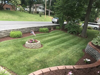 IMG_1442.JPG IMG_1442.JPG