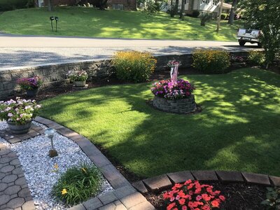 IMG_1592.JPG IMG_1592.JPG