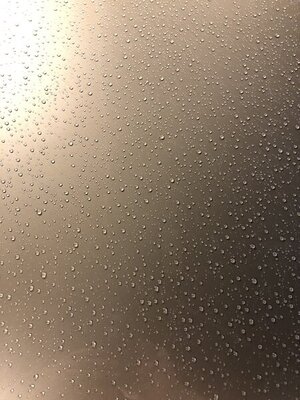 AAD4651B-4381-461B-8CF2-AA699826A76F.jpeg AAD4651B-4381-461B-8CF2-AA699826A76F.jpeg