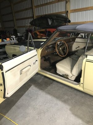 D40F734C-E77E-4177-804E-E5AAD4D709A8.jpeg D40F734C-E77E-4177-804E-E5AAD4D709A8.jpeg