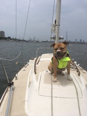 AF21C31E-3CF5-43FB-B7A7-0F4D0EB0546C.jpeg AF21C31E-3CF5-43FB-B7A7-0F4D0EB0546C.jpeg