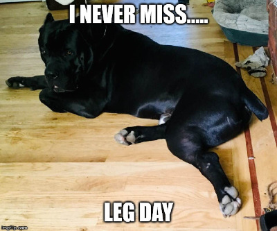 leg-day-jpg.jpg