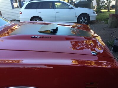 IMG-2392.JPG IMG-2392.JPG