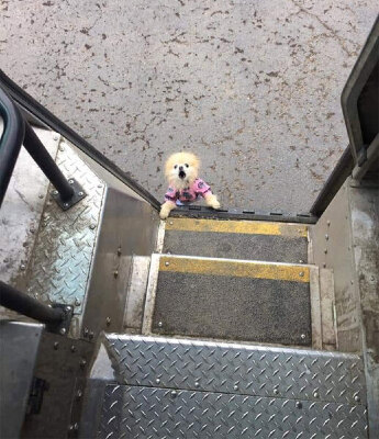 20200101094237-38.jpg 20200101094237-38.jpg