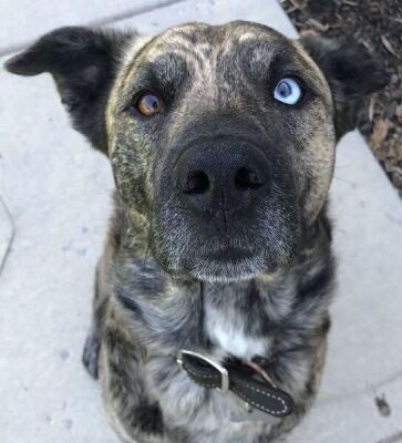 20200101094238-6-1.jpg 20200101094238-6-1.jpg