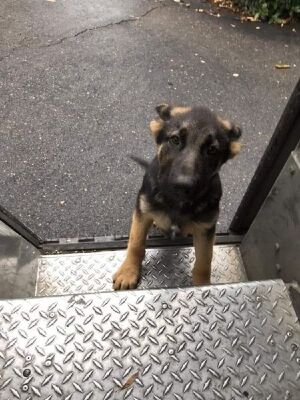 20200101094238-90-1.jpg 20200101094238-90-1.jpg