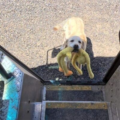 20200101094238-52.jpg 20200101094238-52.jpg