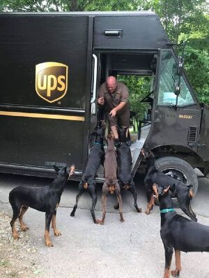 20200101094238-85.jpg 20200101094238-85.jpg