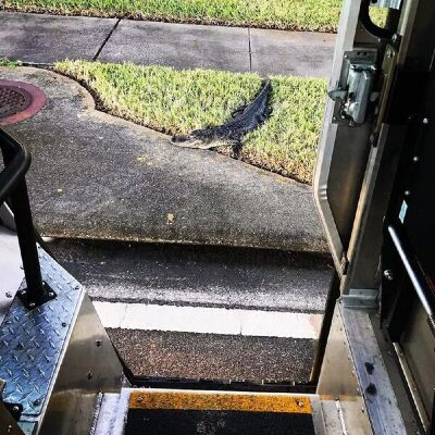 20200101094237-71.jpg 20200101094237-71.jpg