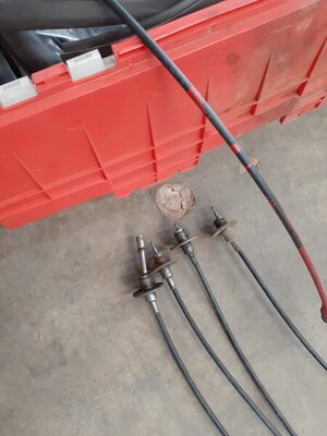 20210108_144256.jpg 20210108_144256.jpg