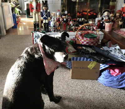 4A283A86-4355-4A02-8B44-EB1242F06E31.jpeg 4A283A86-4355-4A02-8B44-EB1242F06E31.jpeg