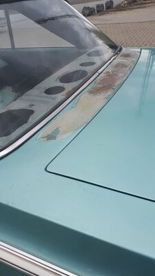 TCXM8480.JPG TCXM8480.JPG