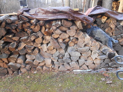 DSCN1592.JPG DSCN1592.JPG