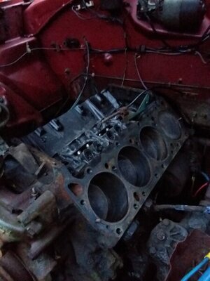 20210115_074851.jpg 20210115_074851.jpg