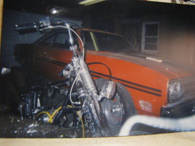 IMG_4951.JPG IMG_4951.JPG