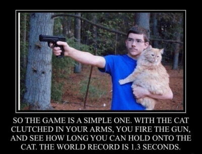 so-the-game-is-a-simple-one-with-the-cat-43619949.jpg