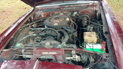 IMG_20210108_172347610.jpg IMG_20210108_172347610.jpg