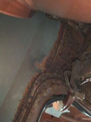 TRUNK!.jpg TRUNK!.jpg