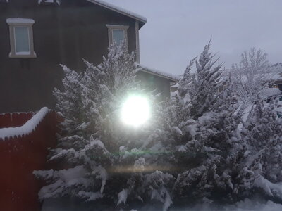 20210127_075048.jpg