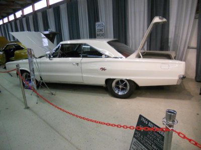 DSCN0124.jpg