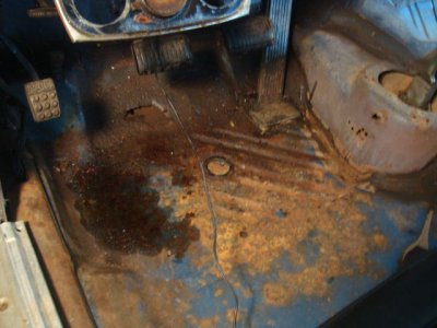 IMG_0129.JPG IMG_0129.JPG