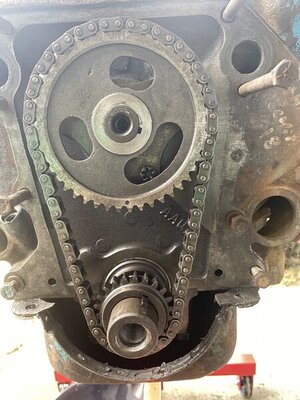 839FA184-E006-416C-8668-17AB2D865C76.jpeg 839FA184-E006-416C-8668-17AB2D865C76.jpeg