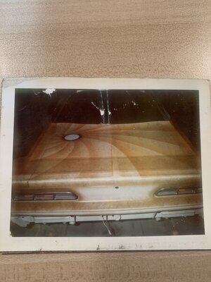 IMG_1381.jpg IMG_1381.jpg