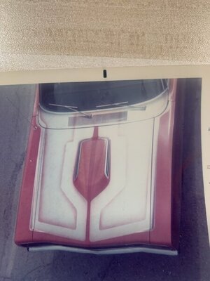 IMG_1383.jpg IMG_1383.jpg