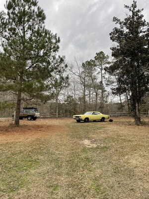 66707002-32C9-4E9E-B417-4EBCA064B9AA.jpeg 66707002-32C9-4E9E-B417-4EBCA064B9AA.jpeg