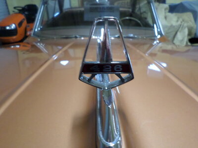hood ornamnent.JPG hood ornamnent.JPG