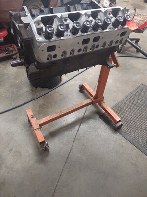 IMG_20210127_190530471.jpg IMG_20210127_190530471.jpg