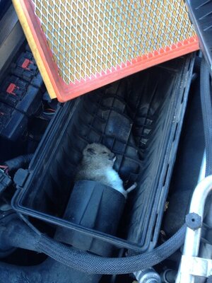 2021-02-10 16.09.31.jpg