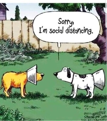 91085c6a2b1177eed788e36ac8f434646b9e1dc5.jpg 91085c6a2b1177eed788e36ac8f434646b9e1dc5.jpg