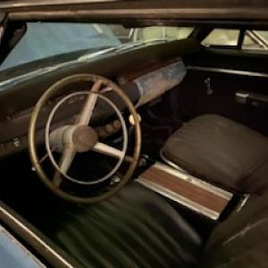 IMG_73571001 (1).jpg