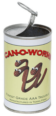 ACanOfWorms.jpg