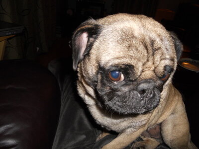 DSCN0028.JPG