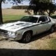 Northern Runner