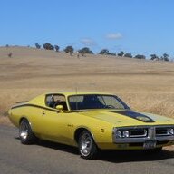 71 Bee Man