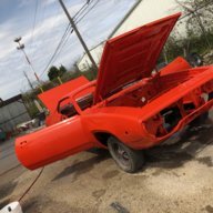Torredbird72