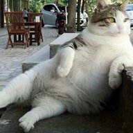 NOTTA TUFCAT
